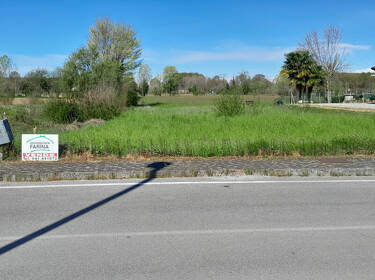foto principale del terreno