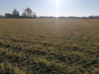 foto principale del terreno