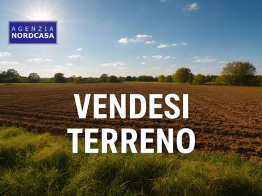 foto principale del terreno