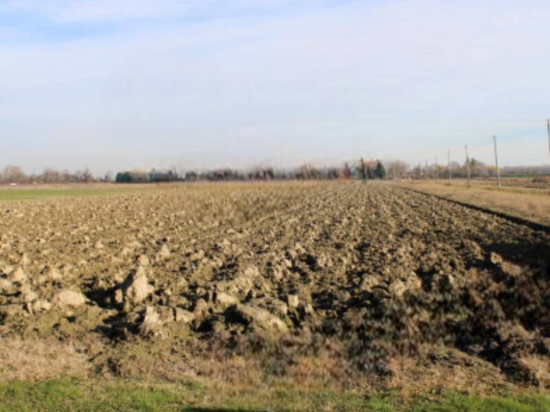 foto principale del terreno