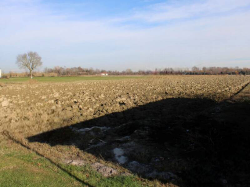 foto principale del terreno