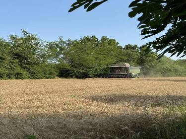 foto principale del terreno