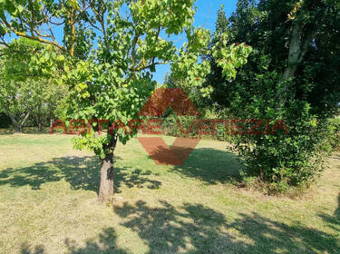 foto principale del terreno