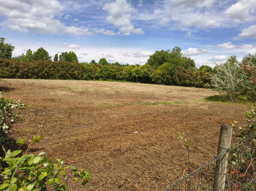 foto principale del terreno