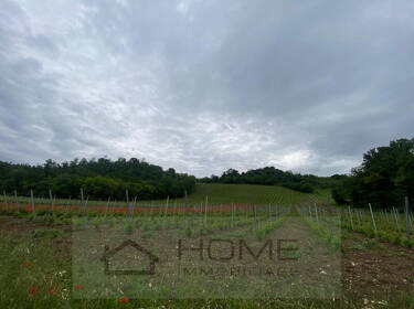 foto principale del terreno