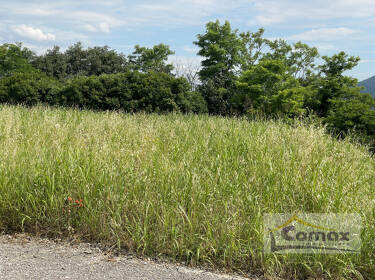 foto principale del terreno