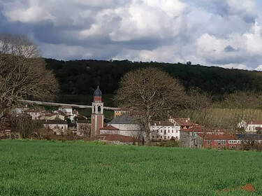 foto principale del terreno