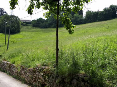 foto principale del terreno