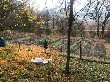 foto principale del terreno