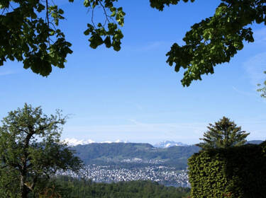 foto principale del terreno