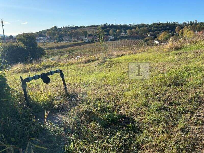 foto principale del terreno