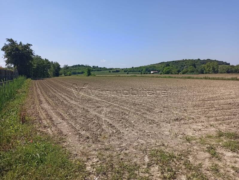 foto principale del terreno