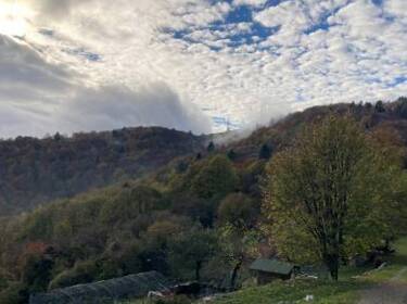foto principale del terreno