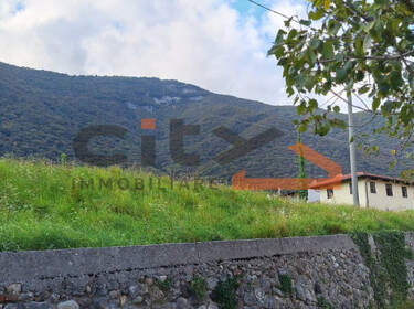 foto principale del terreno