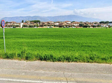 foto principale del terreno