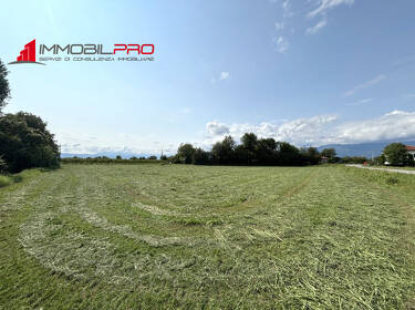 foto principale del terreno