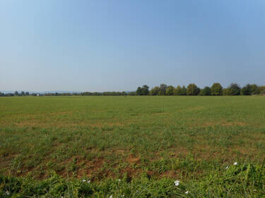 foto principale del terreno