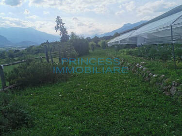 foto principale del terreno