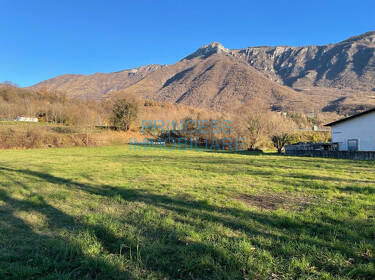 foto principale del terreno