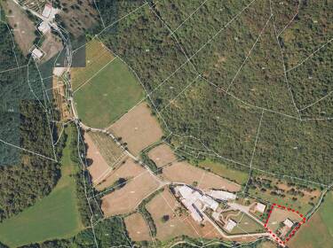 foto principale del terreno