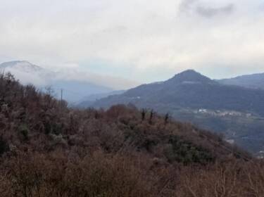foto principale del terreno