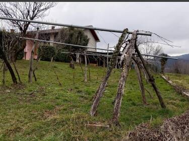 foto principale del terreno