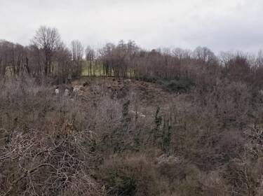 foto principale del terreno