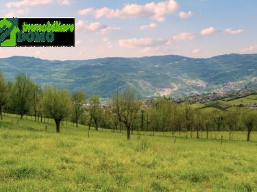 foto principale del terreno