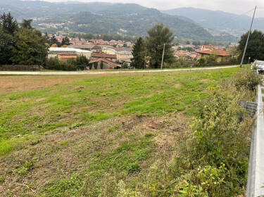 foto principale del terreno