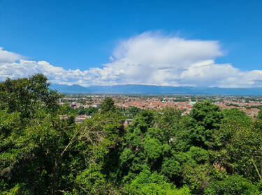 foto principale del terreno