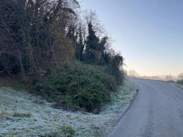 foto principale del terreno