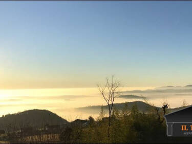 foto principale del terreno