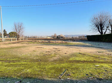 foto principale del terreno