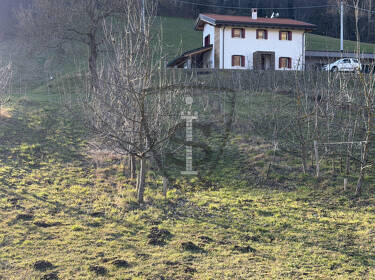 foto principale del terreno