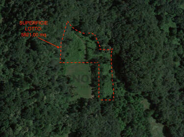 foto principale del terreno