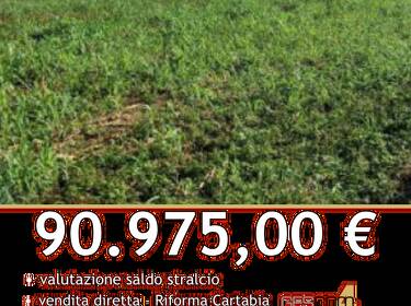 foto principale del terreno