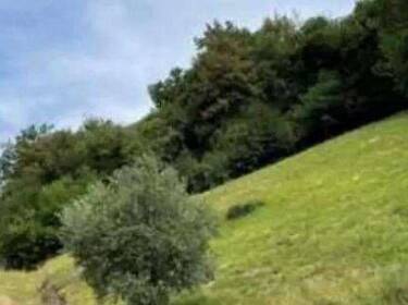 foto principale del terreno