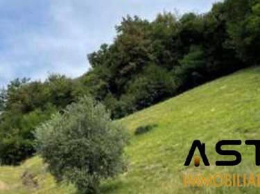 foto principale del terreno