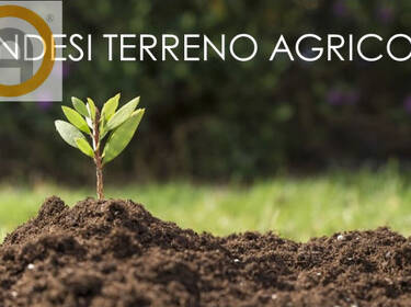 foto principale del terreno