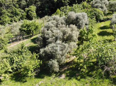 foto principale del terreno