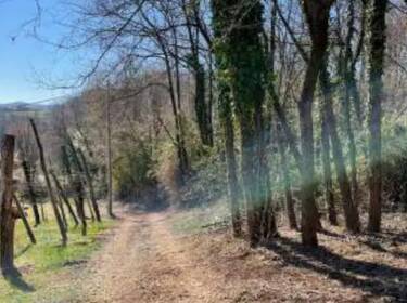 foto principale del terreno