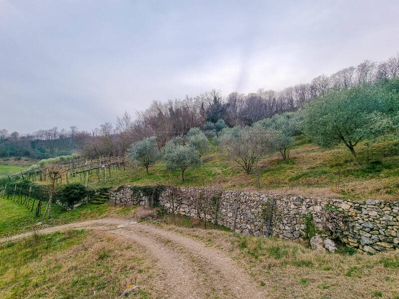 foto principale del terreno