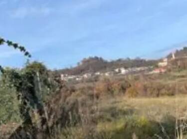 foto principale del terreno