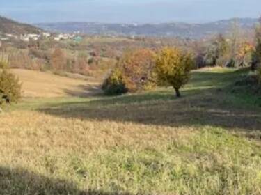 foto principale del terreno