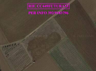 foto principale del terreno