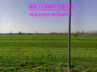 foto principale del terreno