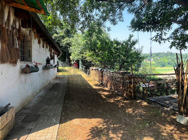 foto principale del terreno