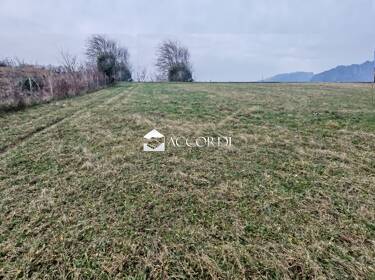 foto principale del terreno
