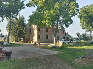 foto principale del terreno