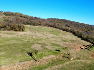 foto principale del terreno